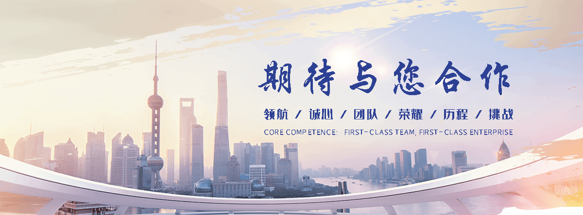东阳海狮租赁公司